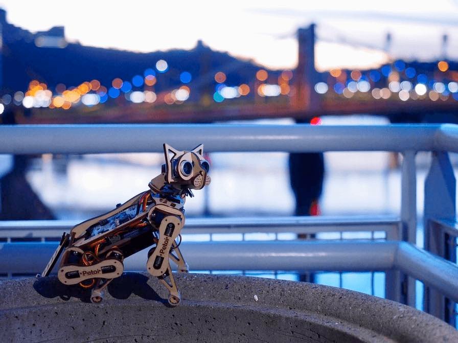 Robot Cat Nybble | Robot Pet By Petoi - Image 7